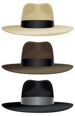 Wide brim fedora - obrazy, fototapety, plakaty