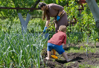 Mother and son working in the vegetable garden