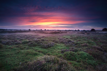 dramatic sunrise over heather land