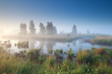 Fototapeta na wymiar silent misty morning over swamp
