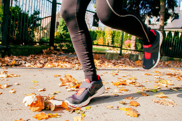Bieganie jesienią - sport - obrazy, fototapety, plakaty