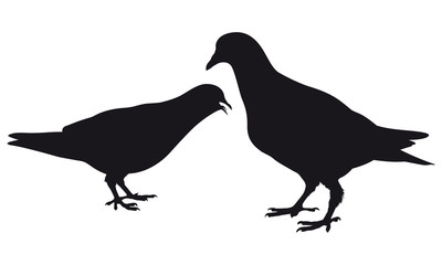 Pigeon. Silhouette. Vector