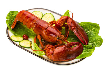 Large Lobster
