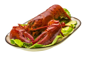 Large Lobster