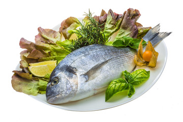 Fresh raw dorada