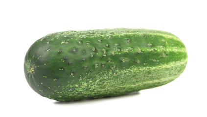 Single green cucumber