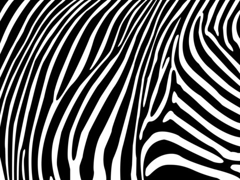 Zebrastreifen