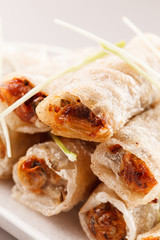 roll food wrappers