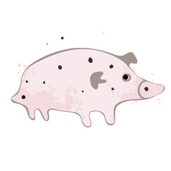Little pig.