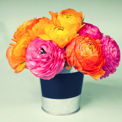 Beautiful colorful ranunculus flowers in a labeled bucket, spac