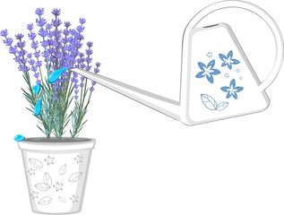 White watering can and flower pot with lavender