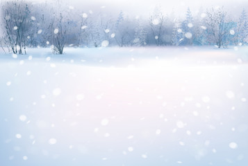 Vector of winter scene with forest background.