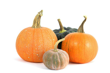 Pumpkins varieties