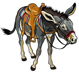 donkey with saddle