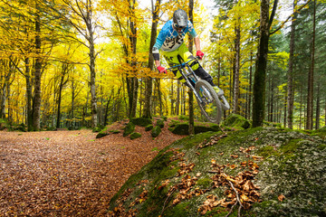 autumn freestyle
