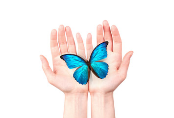 butterfly on man's hand