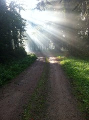 Fototapeta premium Sonnenstrahlen