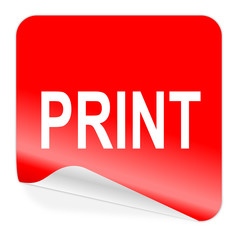 print icon
