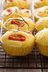 Savory muffins with corn flour, tomatoes and rosemary