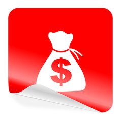 money icon