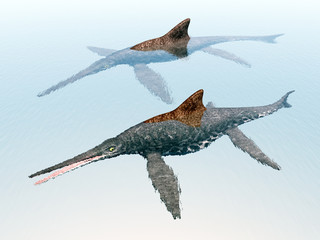 Ichthyosaur Shonisaurus