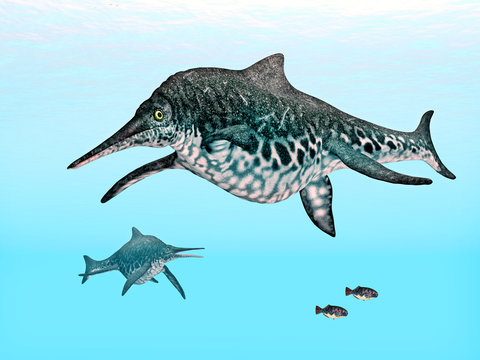 Ichthyosaur Shonisaurus