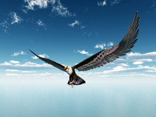 Sea Eagle
