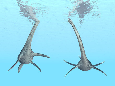Plesiosaur Elasmosaurus