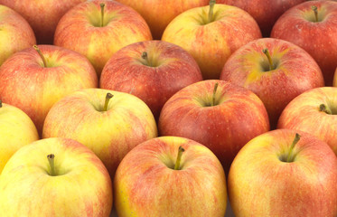 Fototapeta na wymiar Crop of many ripe red and yellow apples as background