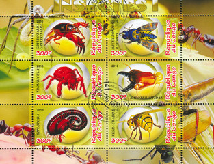 insects