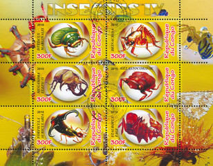 insects