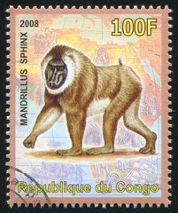 Mandrill