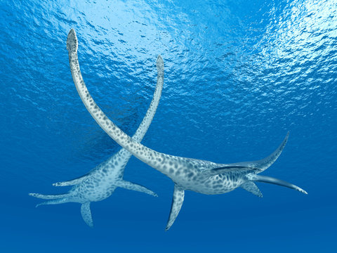 Plesiosaurier Styxosaurus