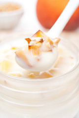 spoon of yogurt with honey, fresh peaches and nuts close-up