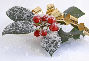 Stechpalmen - Beeren mit Schnee