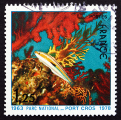 Postage stamp France 1978 Fish and Corals