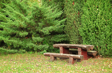 Wooden bench in the park