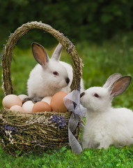 Easter basket with eggs and the Easter bunny
