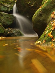 Cascade on small mountain stream, water run over mossy boulders