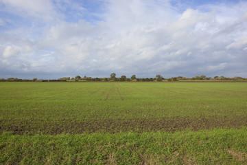 autumn arable field