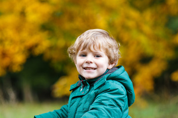 Portrait of little boy in autumn park with yellow foliage.