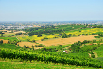 Obraz premium Włochy, wzgórza i winnice Romagna Apeniny