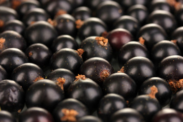 Fresh black currant close up