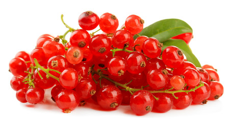 Red currant isolated on white