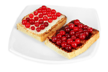 Delicious toast with cranberries isolated on white