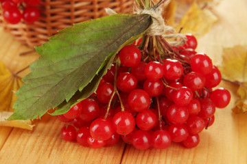 Red berries of viburnum with basket and yellow leaves