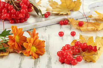 Red berries of viburnum with yellow leaves and flowers