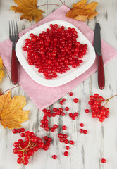 Red berries of viburnum