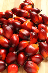 Oil Palm Fruit