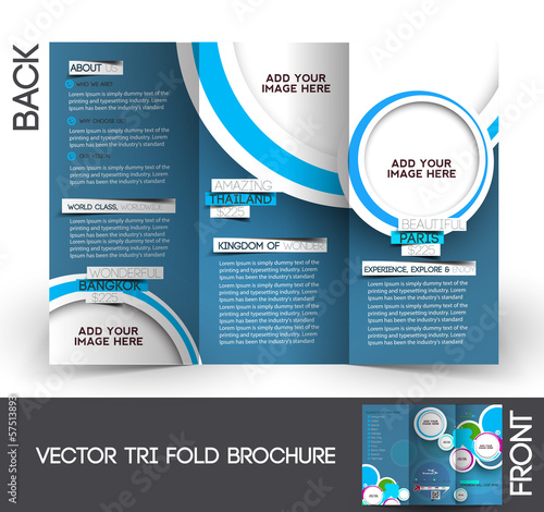 informational brochure design